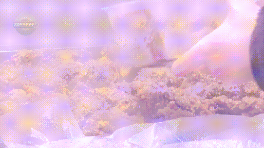 融融！这些御寒姿势总有一款适合你PG麻将胡了2模拟器热腾腾、暖(图10)